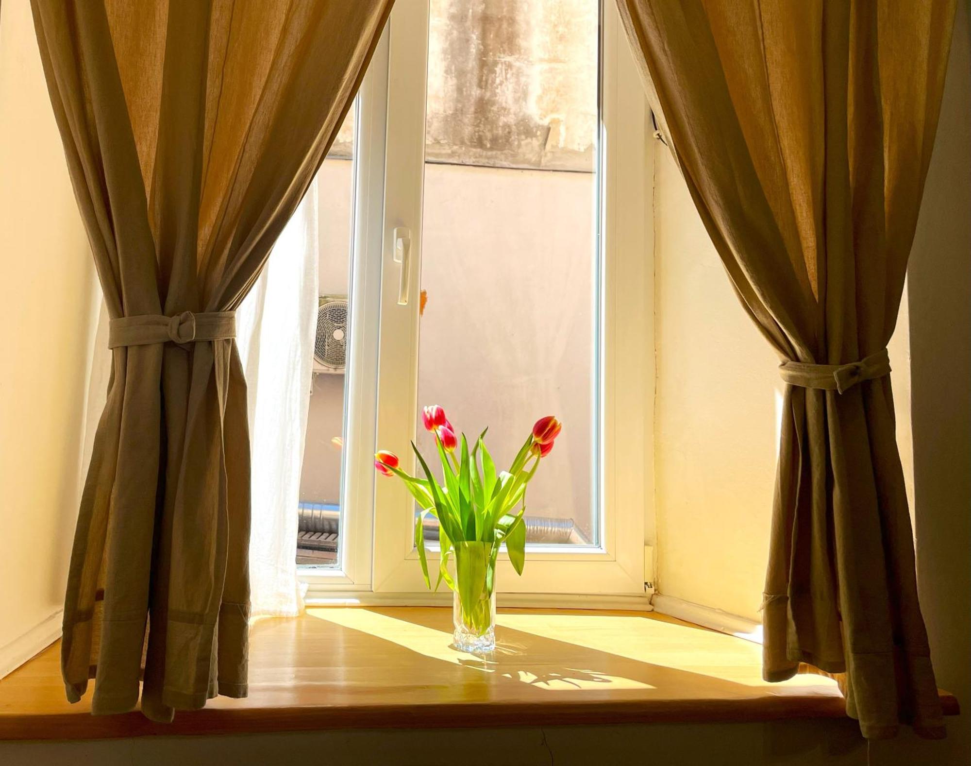 Sun In Old Town Center - Quiet & Cozy Brașov