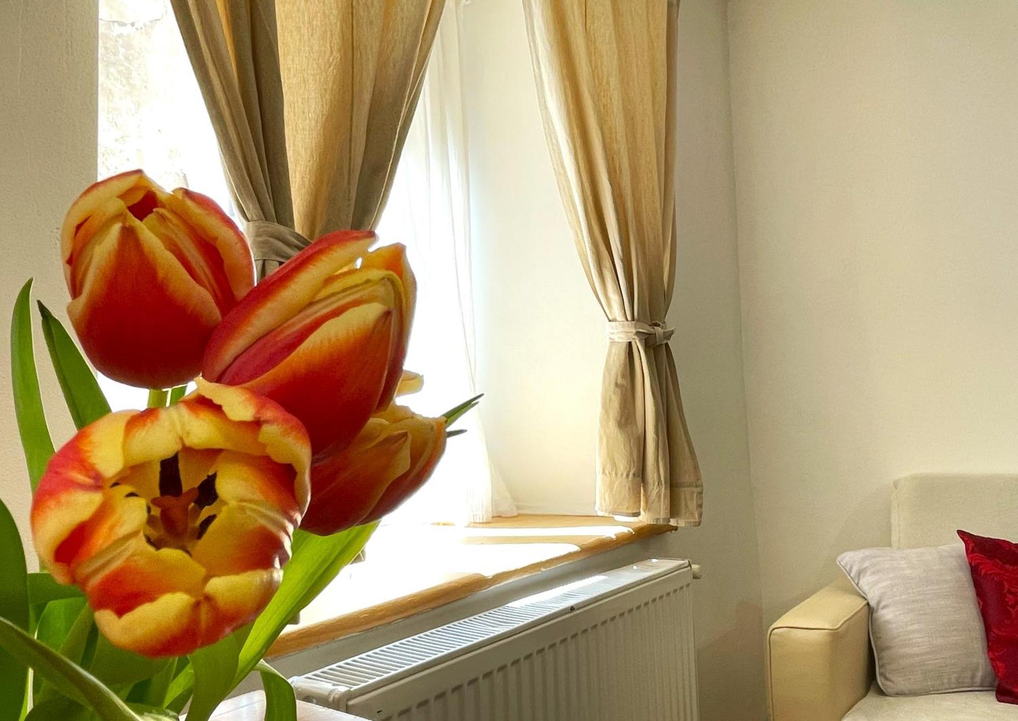 Apartment Sun In Old Town Center - Quiet & Cozy *