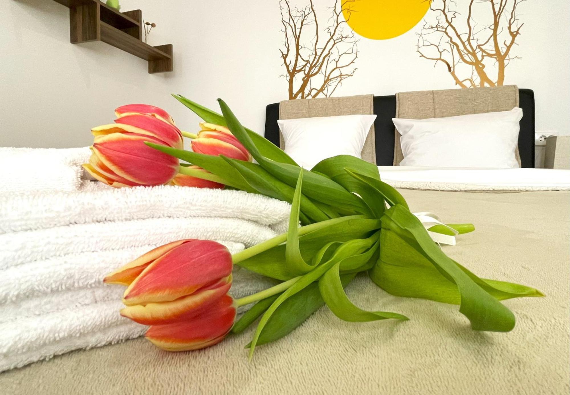 Apartment Sun In Old Town Center - Quiet & Cozy Brașov